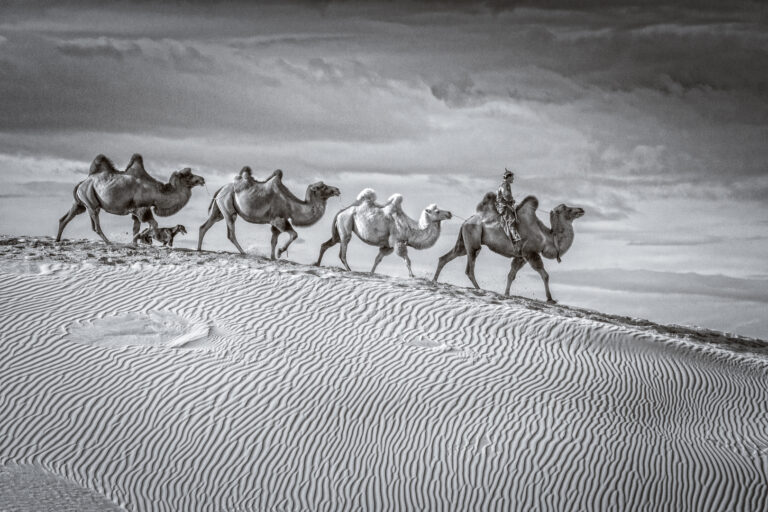 Kristien Lindebrings 4